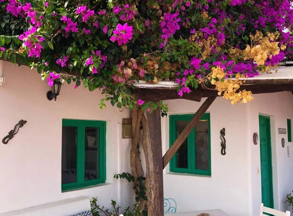 Casa Vacacional Buganvilla Macher Exterior photo
